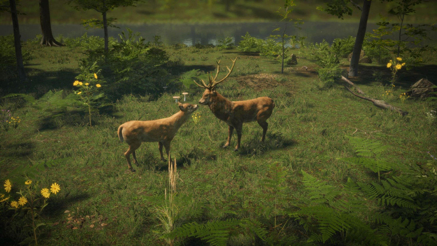 Steam新作《自然本能》 透過遊戲體驗保護野生動物