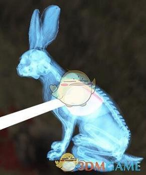 《獵人：野性的呼喚》白尾兔步槍速殺攻略