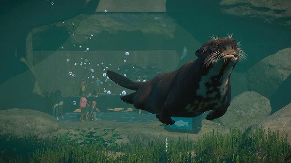 《動物園之星》水生風包DLC內容介紹
