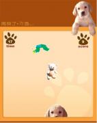 導盲犬克魯-导盲犬克鲁-遊戲用滑鼠鍵移動控制，當碰到自己喜歡的骨頭和狗狗可以加分，碰到毛毛蟲要減分。